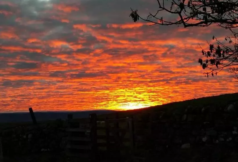 تختخواب و صبحانه The Snug @ Corry Cottage