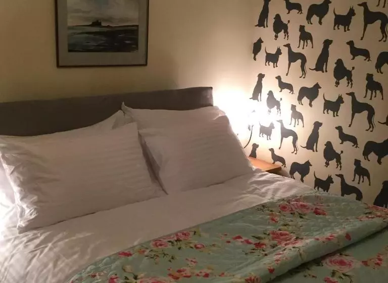 تختخواب و صبحانه The Snug @ Corry Cottage