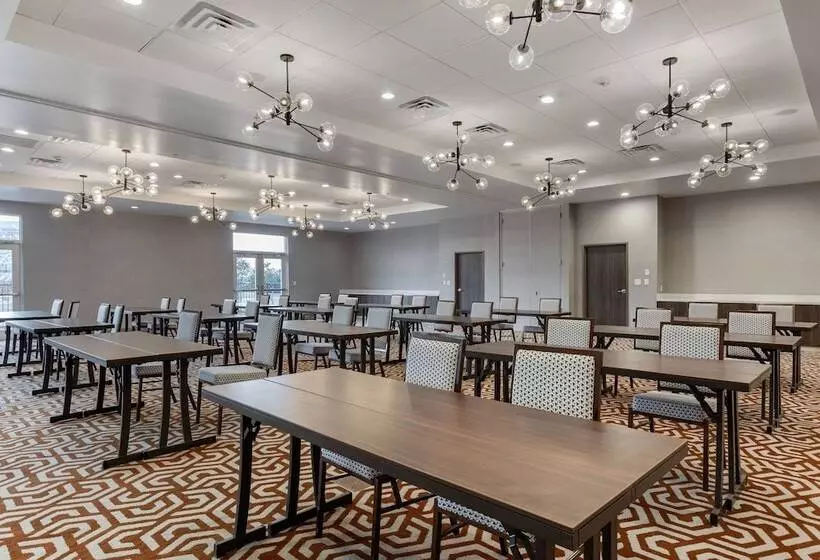 Cambria Hotel Richardson   Dallas