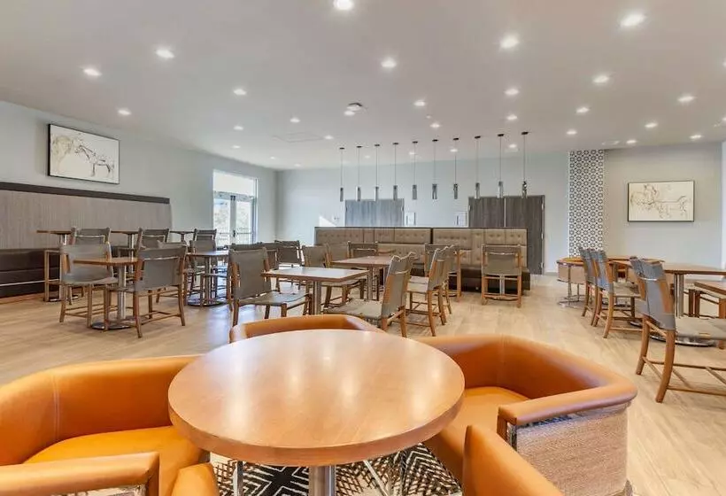 Cambria Hotel Richardson   Dallas