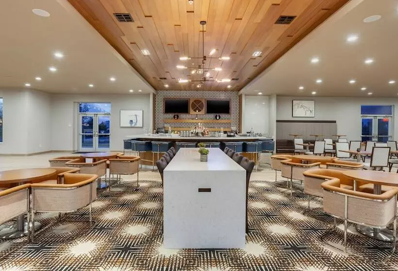 Cambria Hotel Richardson   Dallas