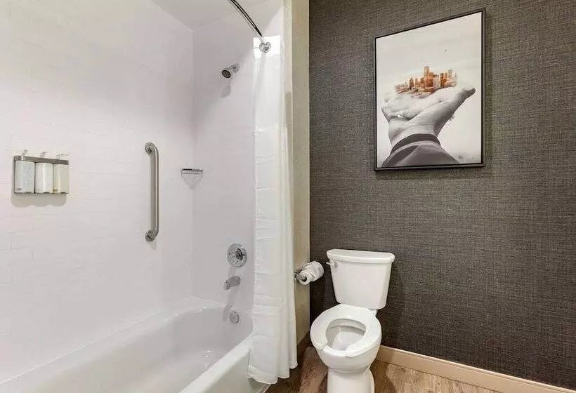 Cambria Hotel Richardson   Dallas