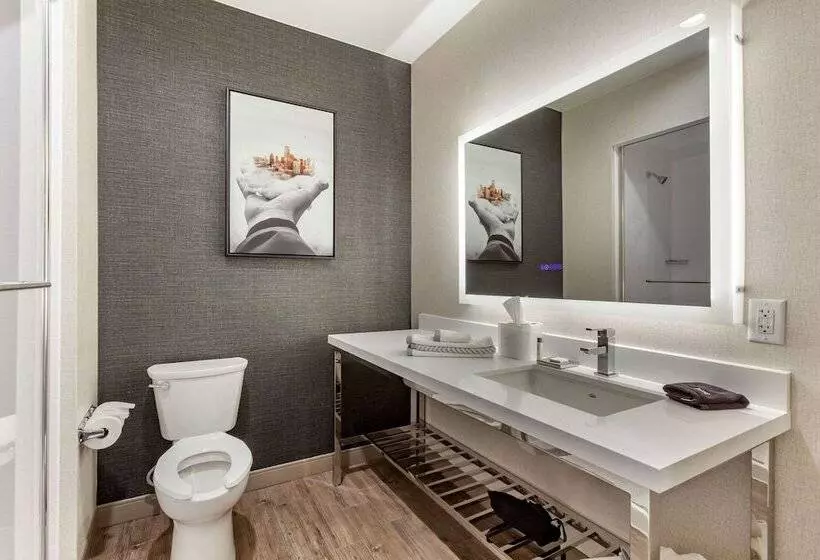 Cambria Hotel Richardson   Dallas