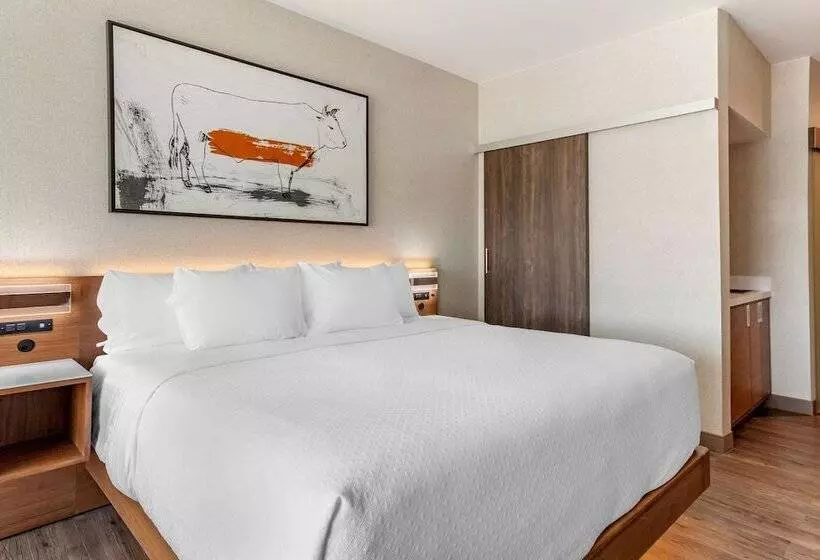 Cambria Hotel Richardson   Dallas