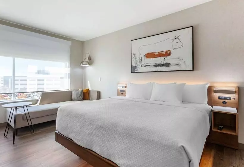 Cambria Hotel Richardson   Dallas