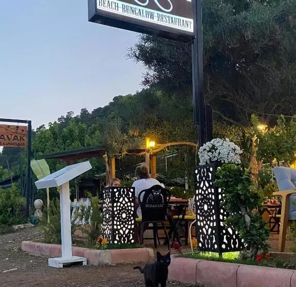 ホテル Kara Kedi Beach Bungalow