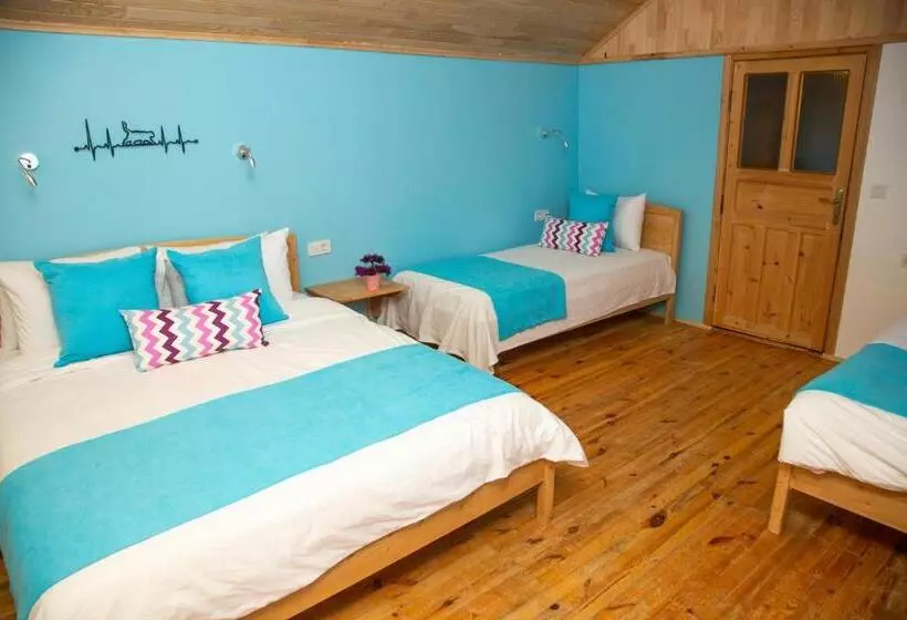 ホテル Kara Kedi Beach Bungalow