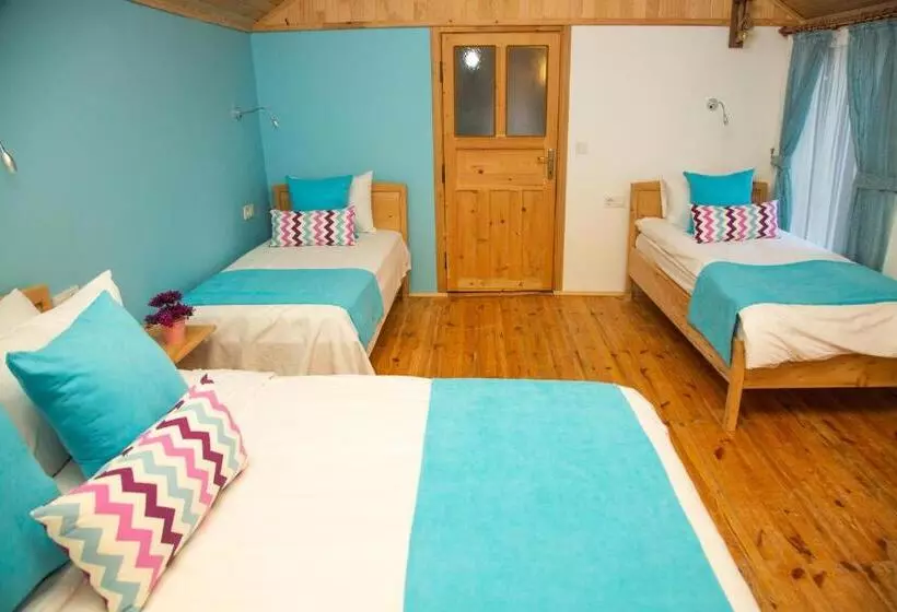 ホテル Kara Kedi Beach Bungalow