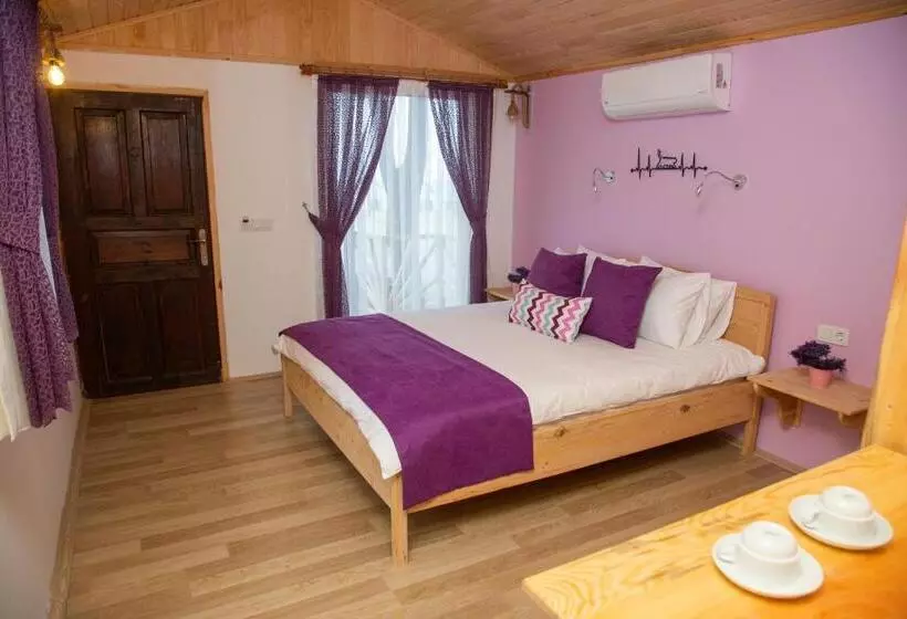 ホテル Kara Kedi Beach Bungalow