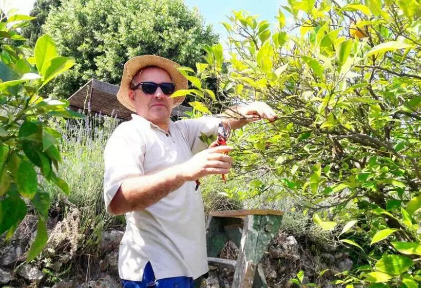 La Maison De Noélie  1er étage