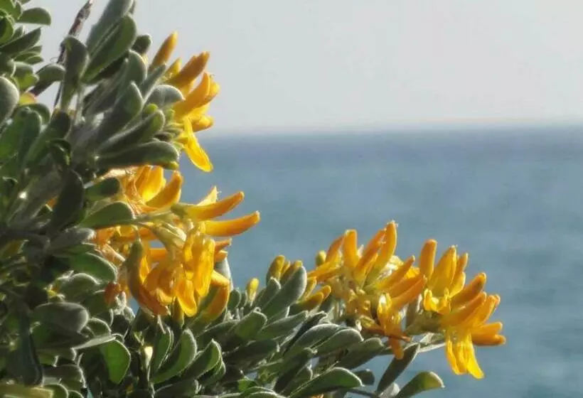 La Maison De Noélie  1er étage