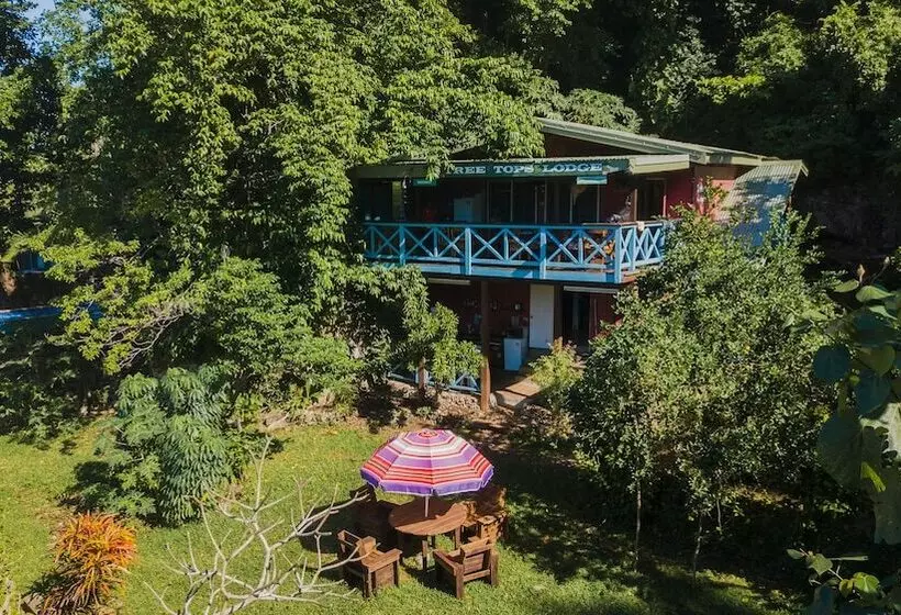 پانسیون Treetops Lodge