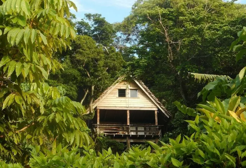 پانسیون Treetops Lodge