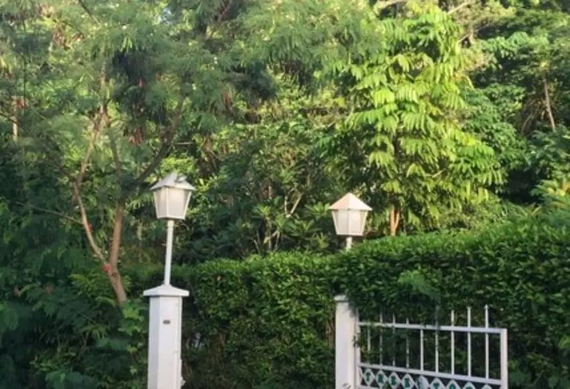 پانسیون Treetops Lodge