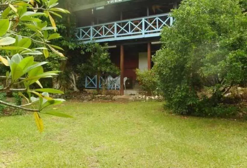 پانسیون Treetops Lodge
