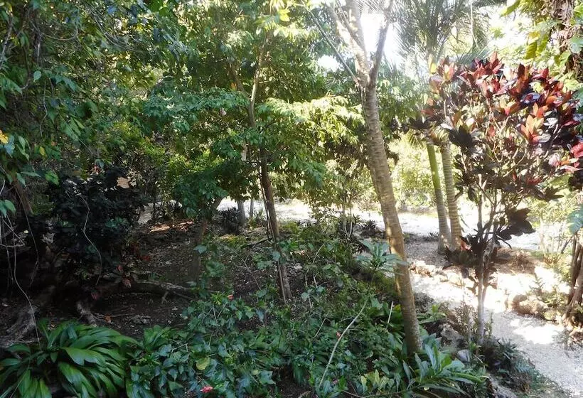 پانسیون Treetops Lodge