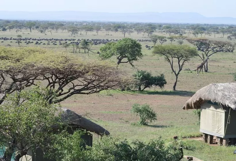 هتل Grumeti Migration Camp