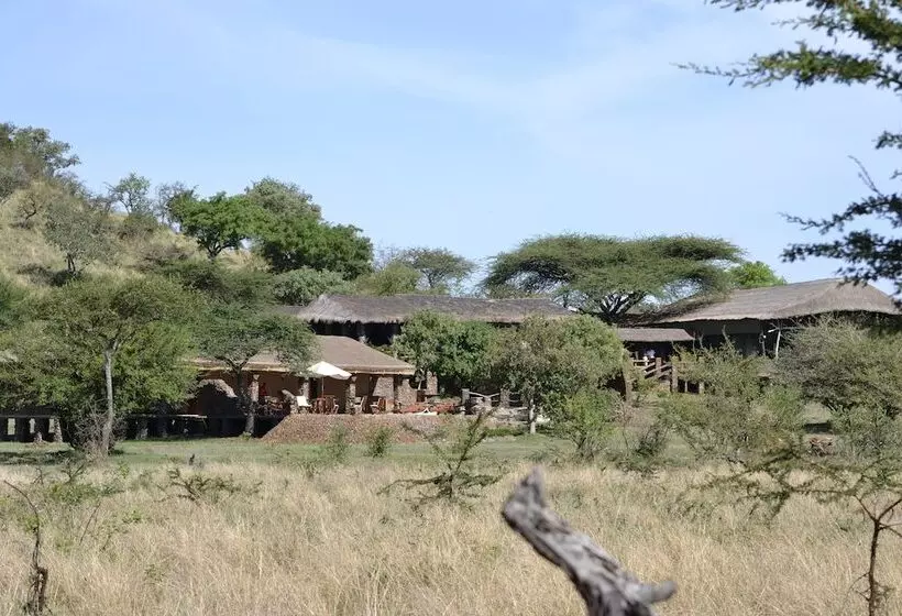هتل Grumeti Migration Camp
