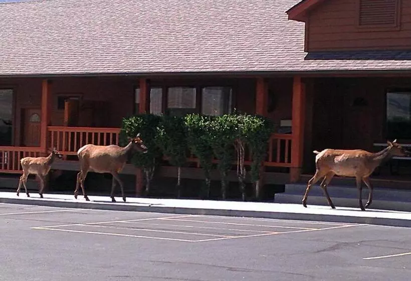 هتل Yellowstone Village Inn And Suites