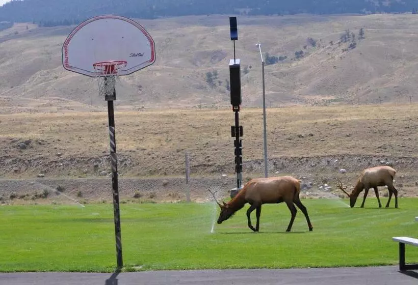 هتل Yellowstone Village Inn And Suites