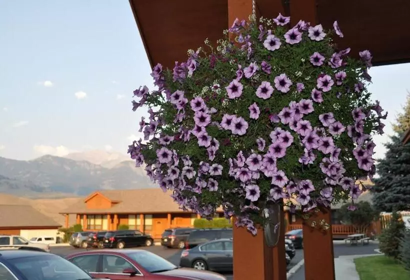هتل Yellowstone Village Inn And Suites