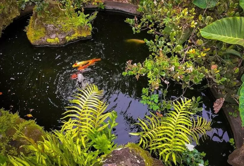 Maaseutuhotelli Gingerhill Farm Retreat