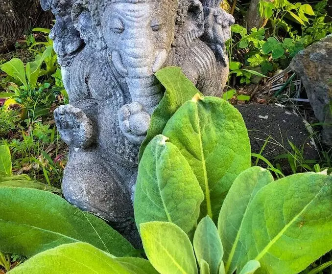 Maaseutuhotelli Gingerhill Farm Retreat