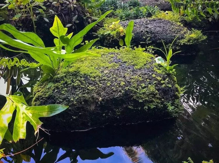 Maaseutuhotelli Gingerhill Farm Retreat