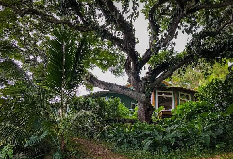 Maaseutuhotelli Gingerhill Farm Retreat