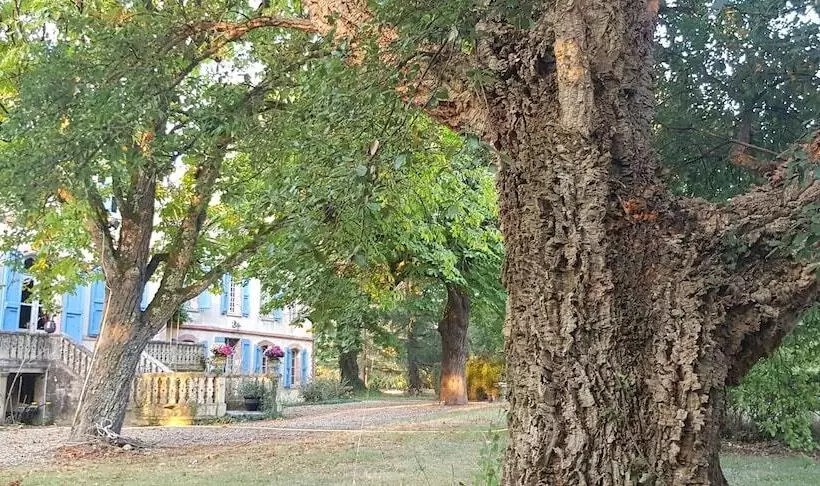 ベッドアンドブレックファースト Le Manoir Du Thouron