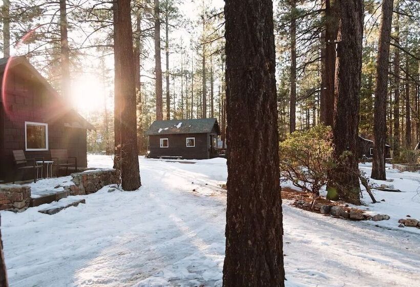 ホテル Colorado Lodge