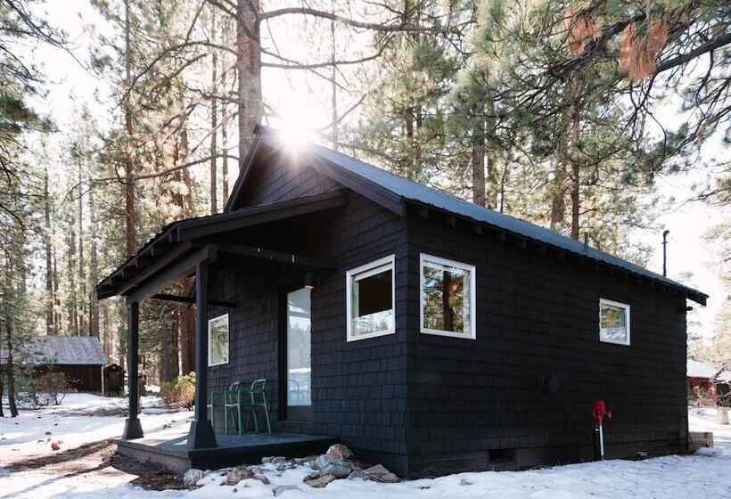 ホテル Colorado Lodge