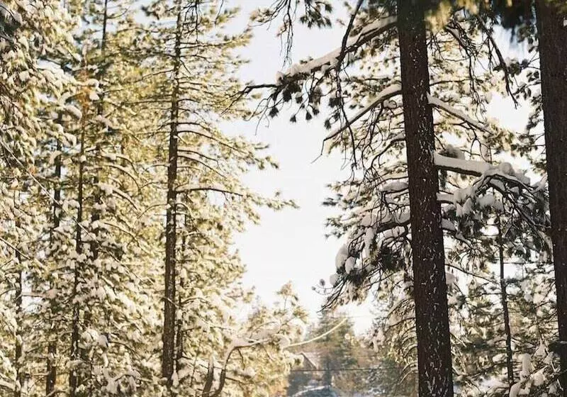 Hotelli Colorado Lodge