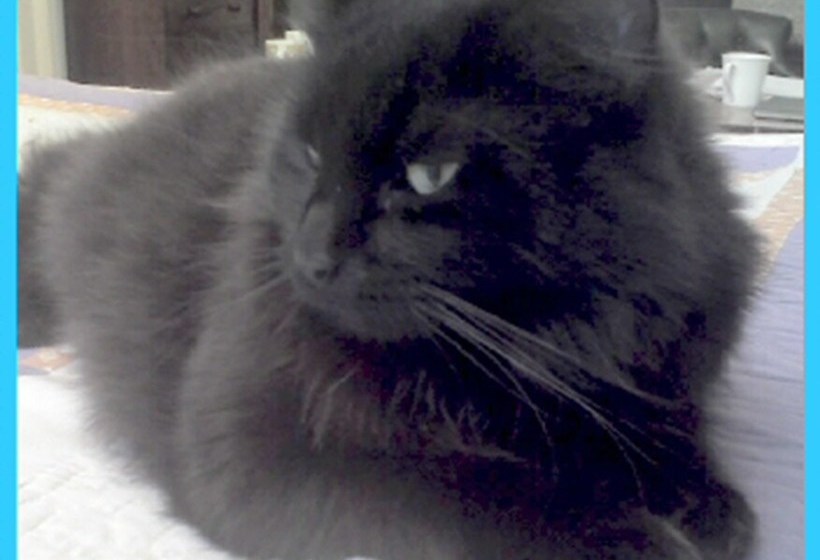 Lolas Bed And Breakfast