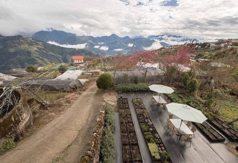 تختخواب و صبحانه 31 Homestay