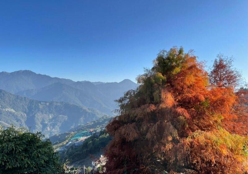 تختخواب و صبحانه 31 Homestay