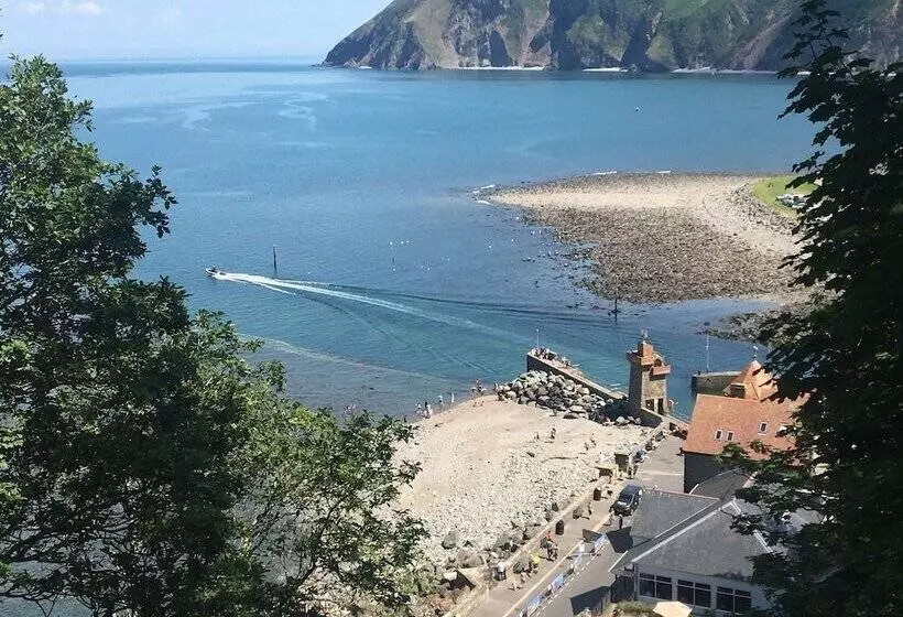 Bed and Breakfast North Walk House