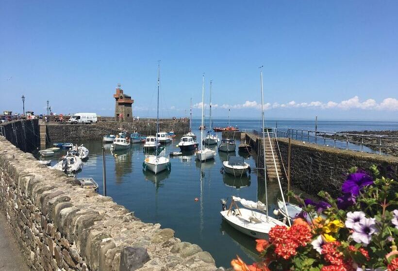 Bed and Breakfast North Walk House