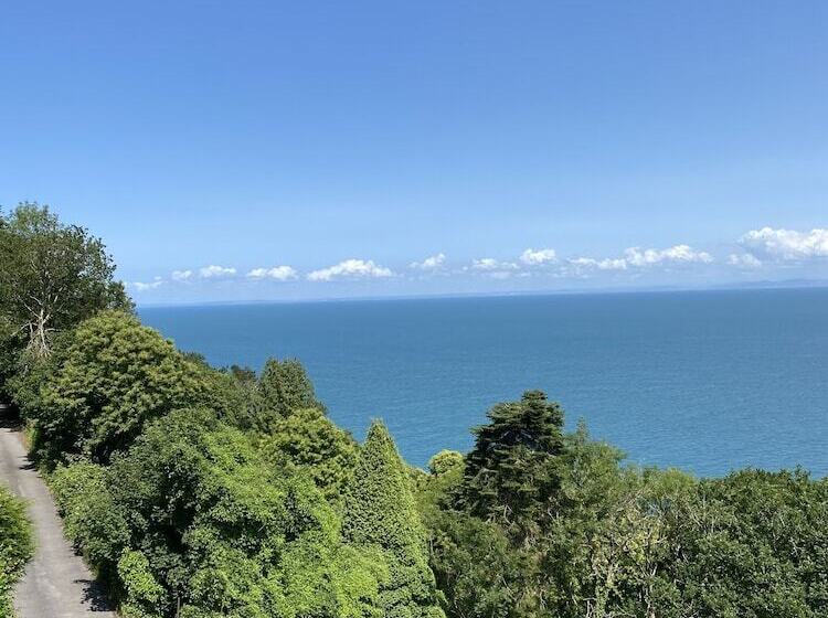 Bed and Breakfast North Walk House