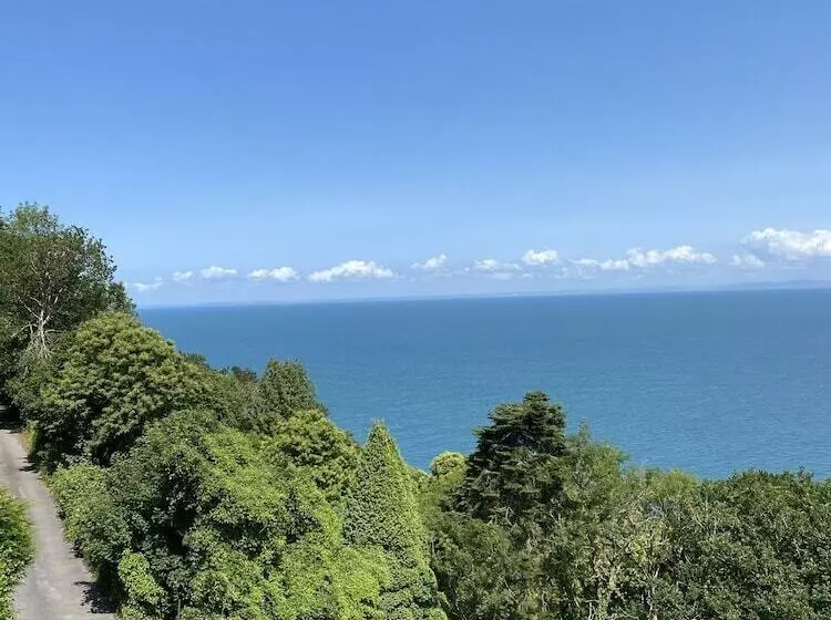 Bed and Breakfast North Walk House