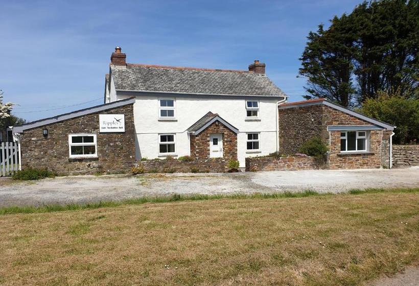 Plain Street Cottage B&b