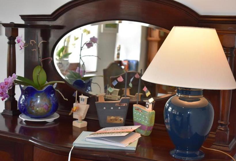 Plain Street Cottage B&b