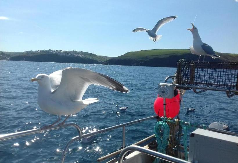 Plain Street Cottage B&b