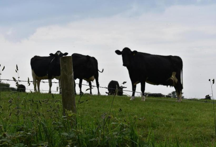 Plain Street Cottage B&b