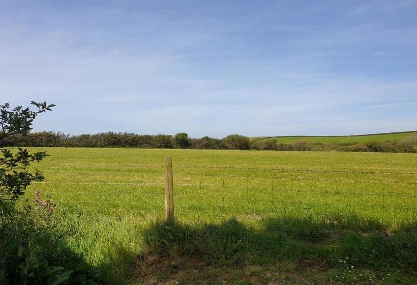 Plain Street Cottage B&b