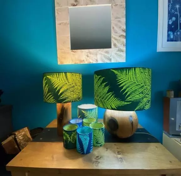 Bed and Breakfast Shaptor Studio