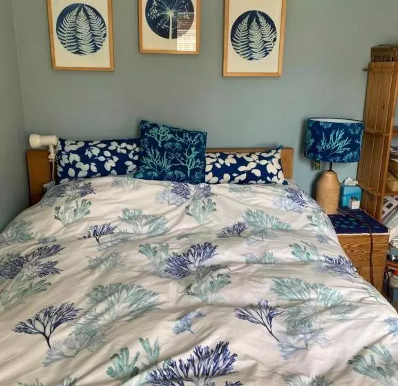 Bed and Breakfast Shaptor Studio