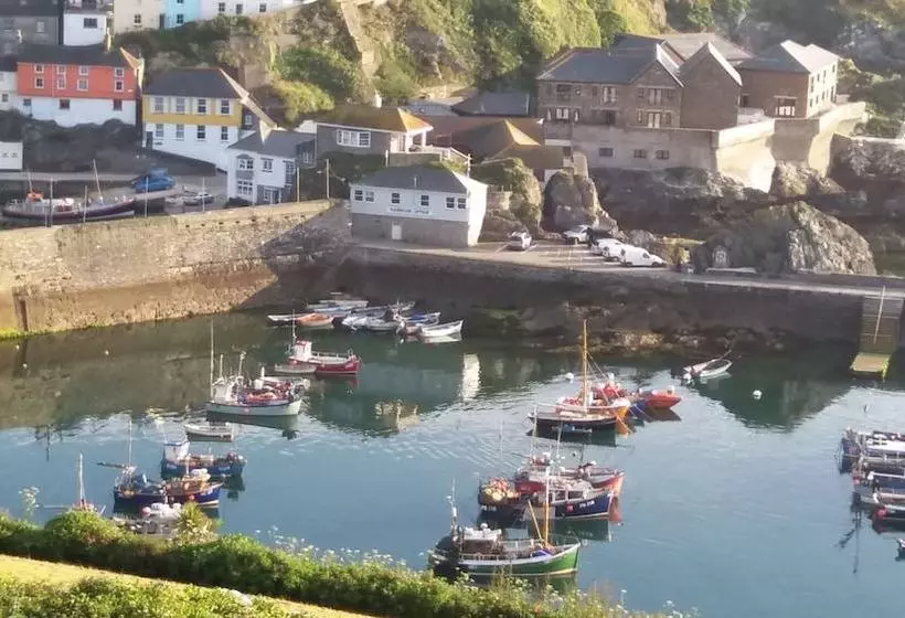 Aamiaismajoitus (B&B) Wild Air