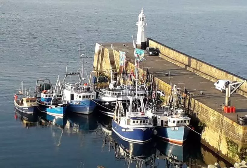 Aamiaismajoitus (B&B) Wild Air