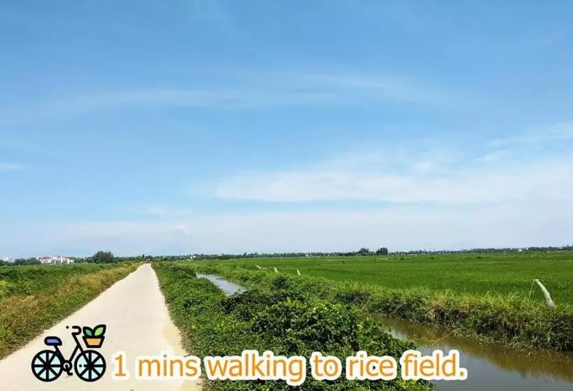 هتل Saclo Villa And Hostel